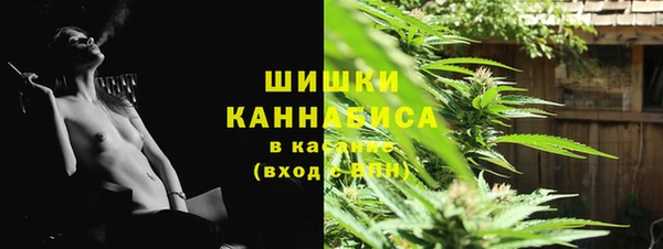 прущий лед Абаза