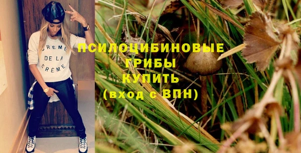 прущий лед Абаза