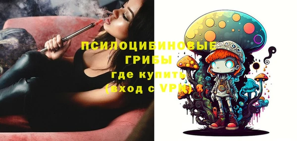 прущий лед Абаза